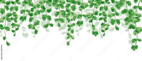 Wallpaper Of Hanging Leaves In Green Watercolor Illustration Stock
