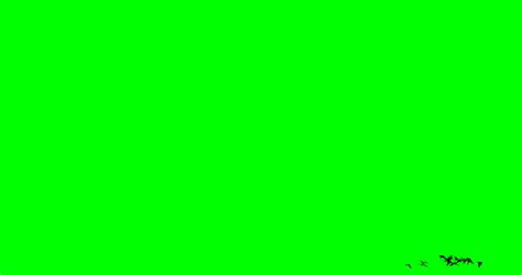 Green Screen Background Stock Video Footage 4k And Hd Video Clips