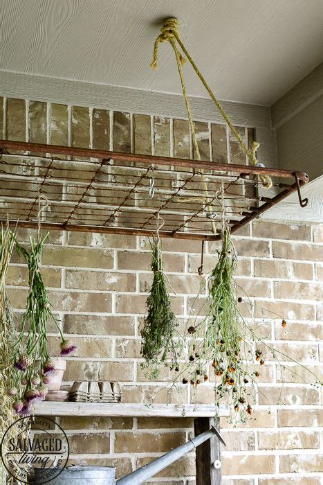 The Perfect Plant Drying Rack For Your Patio If You Want A French