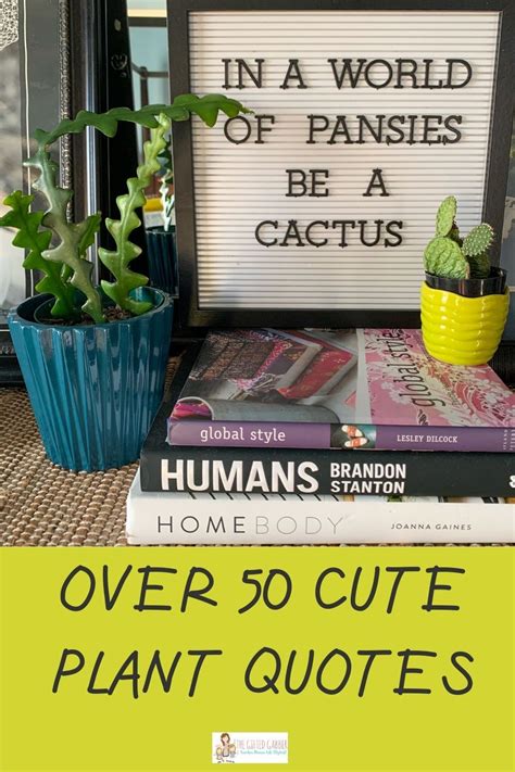 These 50 Funny Plant Quotes And Garden Quotes Will Bring Some Sass To
