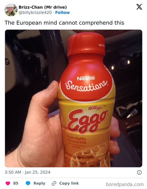 35 ‘the European Mind Cant Comprehend This Memes To Confuse And Amuse