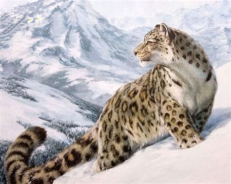 Leopard Paint By Numbers Kit For Adults Snow Leopard Animals