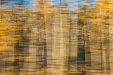 Autumn Abstraction Photograph By Cathy Mahnke
