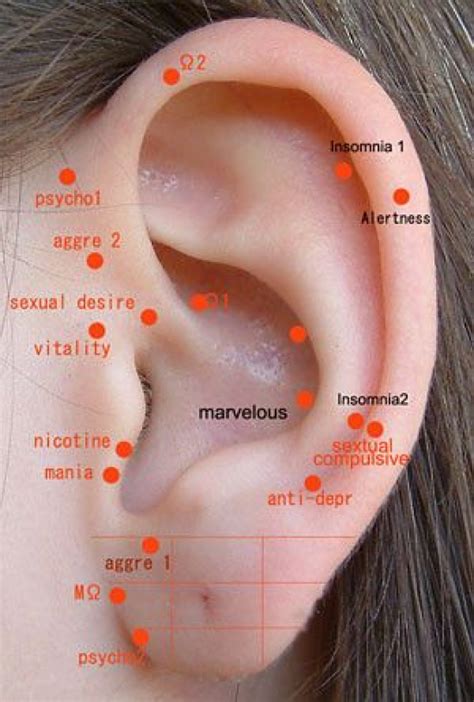 Ear Points Acupuncture Chart