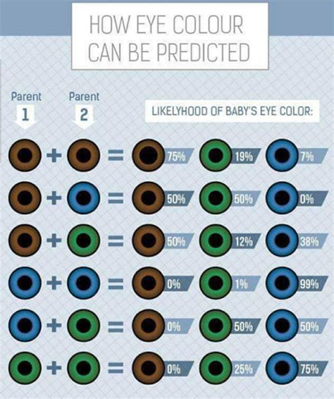 Eye Color Rarity Chart Rarest Colors Contacts Near Me Aquasea Info Of