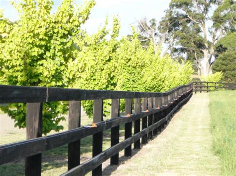 Kentucky Horse Fence Black 20 Litre Au