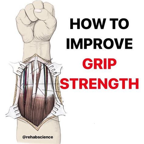 𝐆𝐫𝐢𝐩 𝐒𝐭𝐫𝐞𝐧𝐠𝐭𝐡 Human grip can be divided into two main categorie