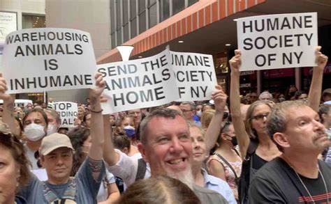 Disruption of Humane Society of New York at Star-studded Adoption Event