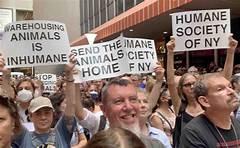 Watch Now The Truth About Humane Society Hagerstown Revealed