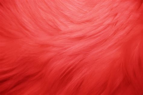 Check out this fantastic collection of red wallpapers, with 52 red background images for your desktop, phone or tablet. Red Fur Texture - Free High Resolution Photo - Photos ...