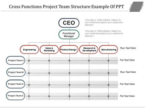 Cross Functions Project Team Structure Example Of Ppt Powerpoint
