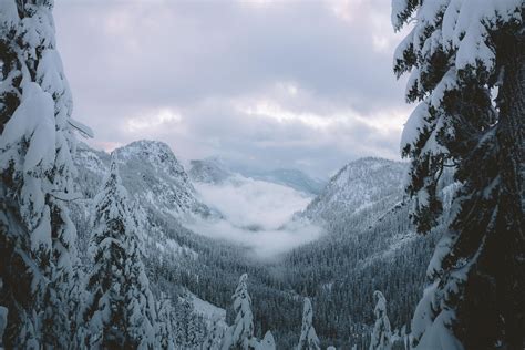 Pine Tree Mountain Pass Snow Winter Mountains Hd Wallpaper