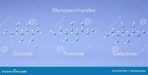 Monosaccharide Glucose Fructose Galactose Molecular Structures 3d