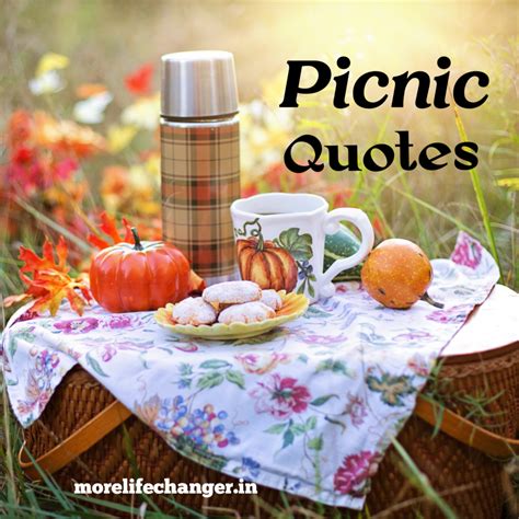 26 Amazing Picnic Quotes More Life Changer