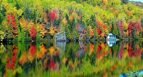 Fall Lake Nature Free Photo On Pixabay