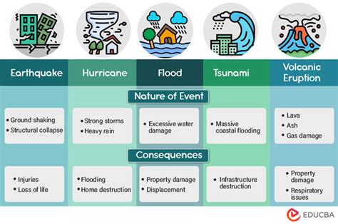 Natural Disasters Essay Words Types Causes Impact EduCBA