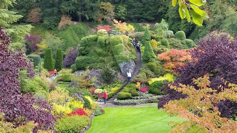 The butchart gardens are the most famous gardens in victoria. Butchart Gardens, Victoria B.C. Sep 2015. A walk through ...