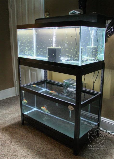 50 Diy Best Aquarium Stands With Plans In 2019 Fish Tank Stand Fish