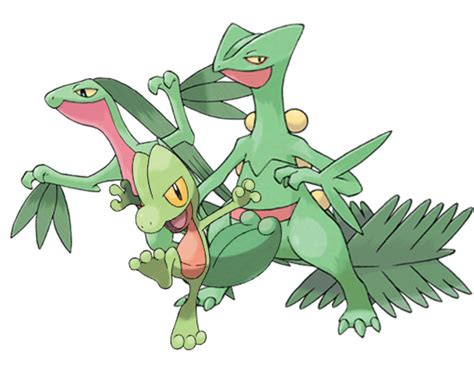 This is a page on the pokemon treecko, including its learnable moves and where it can be found in the crown tundra dlc for. Top 6 Grass Starters in Pokemon | LevelSkip