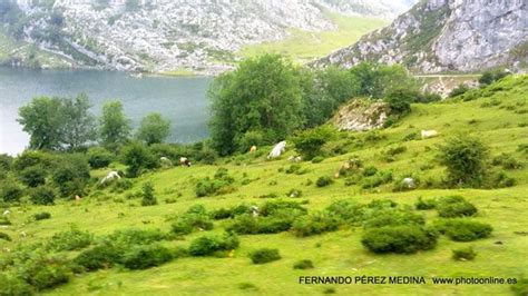 He competed in the sabre events at the 1996, 2000 and 2004 summer olympics. Pin en LUGARES A VISITAR (Fernando Pérez Medina)