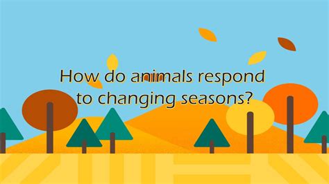 How Do Plants And Animals Respond To Changing Seasons New Update