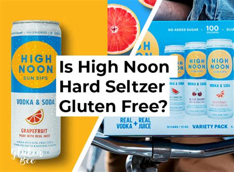 Is High Noon Hard Seltzer Gluten Free Glutenbee