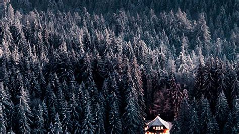 Free Download Winter Snow Forest Chalet Retreat Iphone 7 Wallpaper