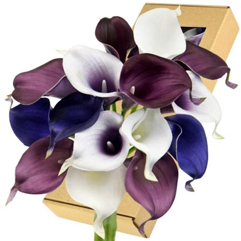 Fiveseasonstuff 10 Stems Real Touch Dark Purple Calla Lilies Etsy