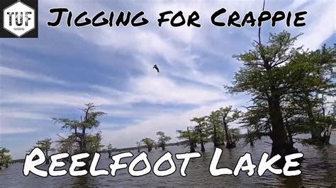 Reelfoot Lake Jigging For Crappie Youtube