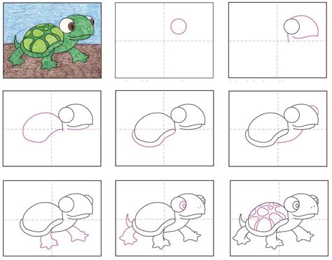 How To Draw Turtle Step By Step Warehouse Of Ideas