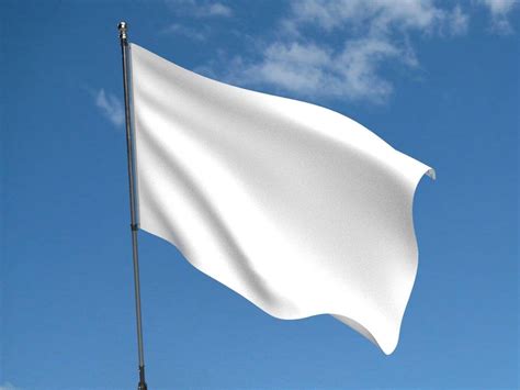 Plain White Flag Buy Plain White Flag North West Flags