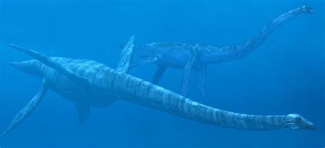 Top 10 Terrifying Prehistoric Sea Monsters Sea Monsters Prehistoric