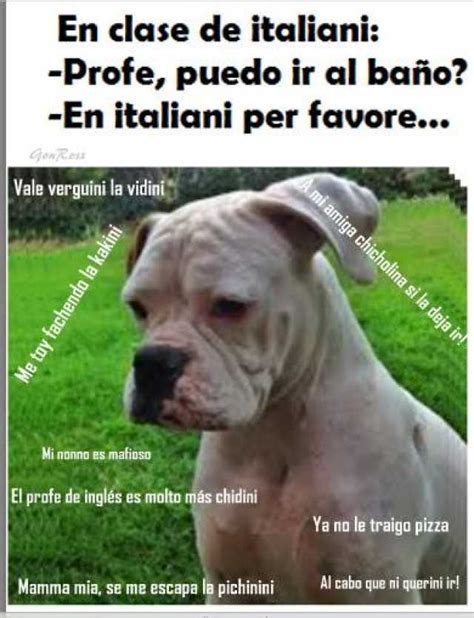 Memes En Clase De Italiano Profe Puedo Ir Al Baño