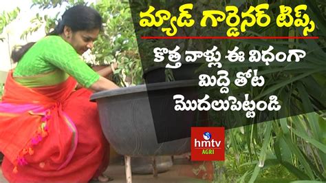 Terrace Garden Tips For Beginners Mad Gardener Madhavi Hmtv Agri