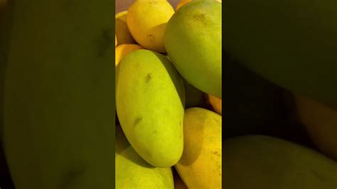 asmr organic juicy sweet mangoes 🥭 🥭 satisfying shorts carina youtube