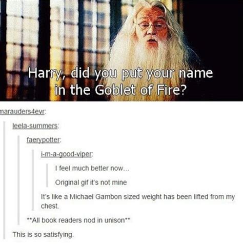 Dumbledore Goblet Of Fire Meme - Harry potter did you put your name in the Goblet of Fire. Fixed it