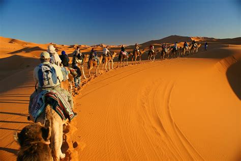 3) camel is a big animal with a small head, long neck and four long legs. Desert Caravan Tour