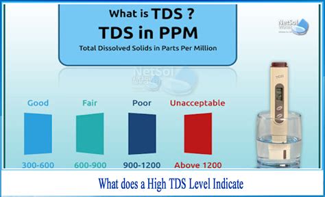 What Does A High TDS Level Indicate Netsol Water