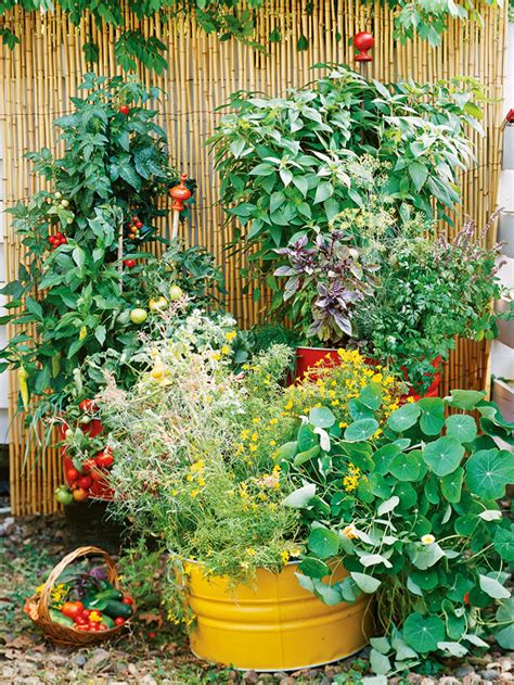 How To Make A Small Vegetable Garden Home Designs Project