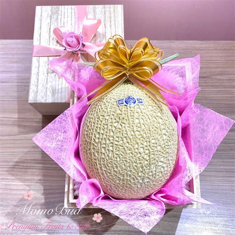 We were asked to do a video about crown melons, the official tastiest fruit in the world (according to the bbc) made in shizuoka, japan. Shizuoka Crown Muskmelon (1.5kg approx) — MomoBud