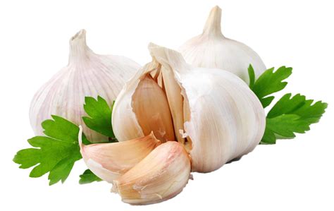 Free Garlic Transparent Download Free Garlic Transparent Png Images