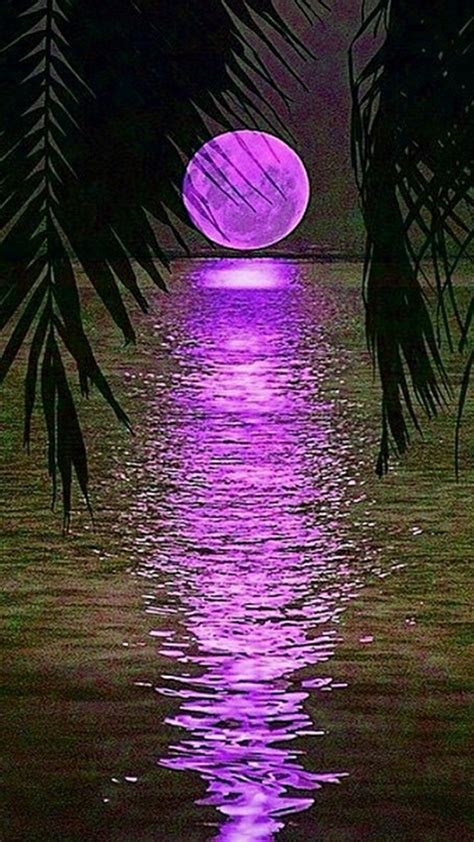 Plams And Purple Moon Paisaje De Fantasía Fondo De Pantalla Colorido Y