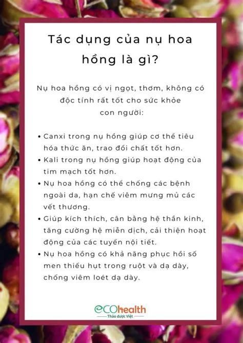 100g Nụ Hoa Hồng Sấy Khô Eco Health Việt Nam Jsc