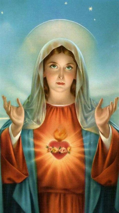 true devotion to mary mother in heaven mama mary immaculate conception blessed virgin mary