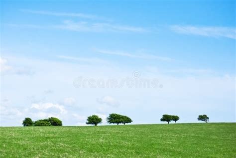 Grass Trees And Sky Portrait Stock Image Image Of Green Vertical