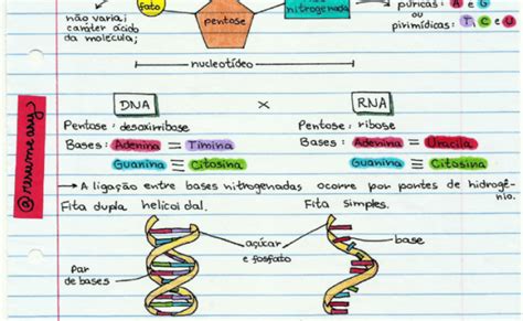 Mapa Mental Dna Resumo Acido Nucleico O Que E Dna Caracteristicas