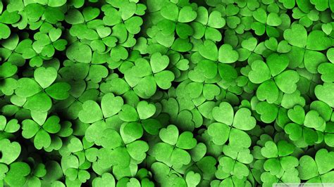 Wallpapers Four Leaf Clover Wallpaper Cave