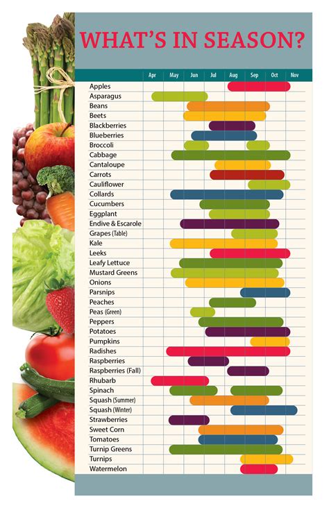 Fruit And Vegetables Season Chart