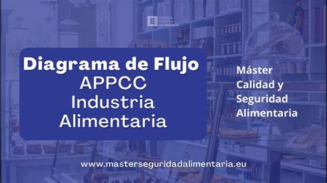 Verificación de diagrama de Flujo Pasos para realizar un APPCC YouTube