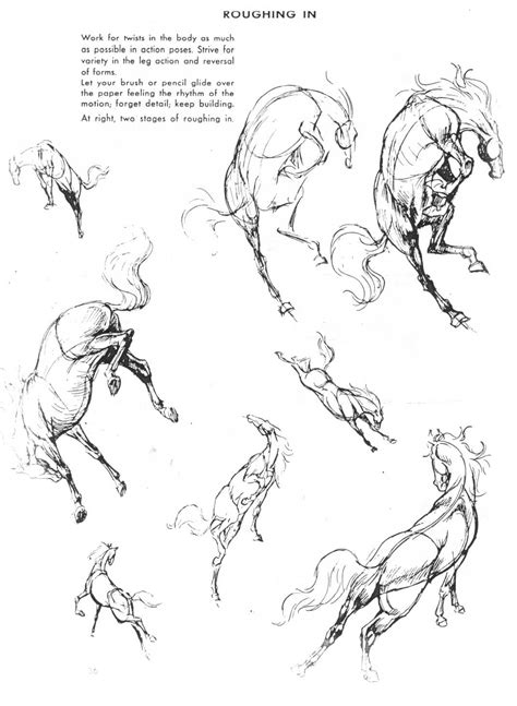 Want to discover art related to human_animal_hybrid? Human Animal Hybrid Drawing at GetDrawings | Free download